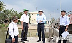 Tien Giang: Deploying many solutions to supply water for daily life and production activities