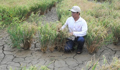 Trung Quốc xả nước thủy điện có 'cứu' ĐBSCL thoát được hạn, mặn?