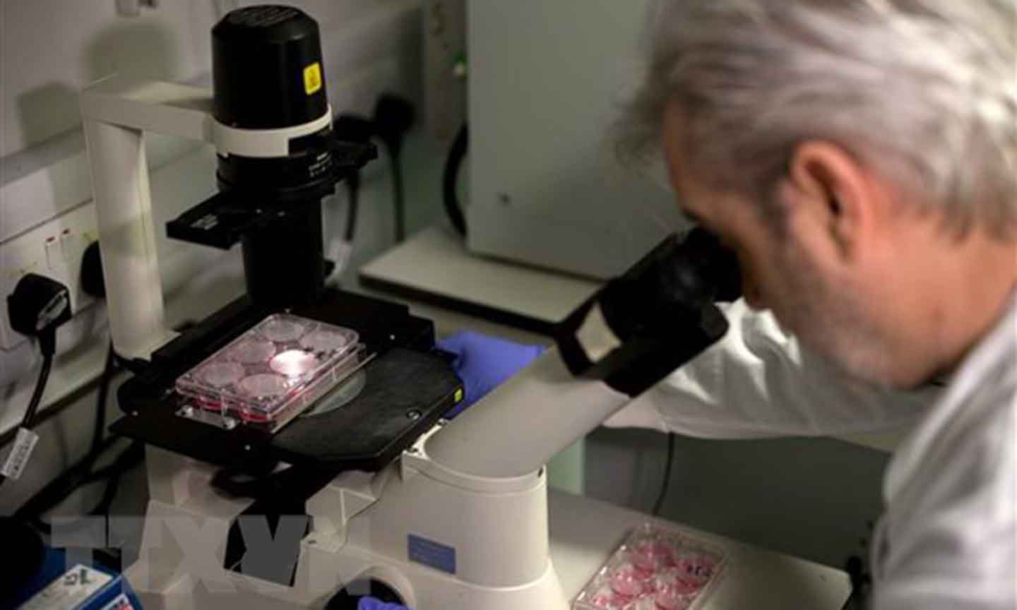 Nhà khoa học Anh Paul McKay nghiên cứu DNA của chuỗi virus corona chủng mới (2019-nCoV) tại phòng thí nghiệm của Đại học Y khoa Hoàng gia London ngày 10/2/2020. (Nguồn: AFP/TTXVN)
