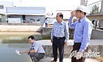 Chairman of the PPC Le Van Huong checks the salinity and drought in Ba Rai - Phu An project area