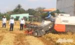 Chairman of the PPC Le Van Huong surveys the harvest of rice in the eastern region