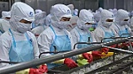 Vietnam's shrimp exporters strive to weather coronavirus outbreak