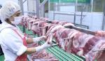 Thủ tướng yêu cầu kiên quyết giảm giá thịt lợn dưới 60.000 đồng mỗi kg