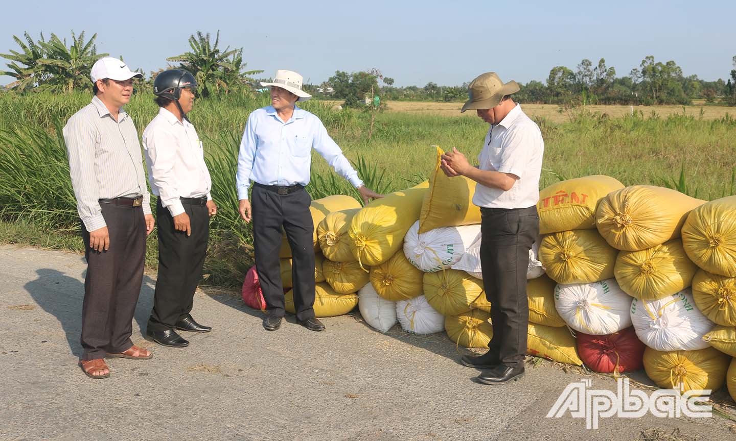 Đồng chí Lê Văn Hưởng trao đổi với lãnh đạo UBND và ngành nông nghiệp Thị xã Gò Công tại một điểm tập kết thu mua lúa.