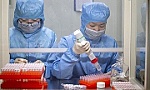 Việt Nam sẽ sản xuất nhiều loại test xét nghiệm SARS-CoV-2