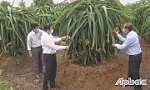 Provincial leaders check the free water supply for fruit trees