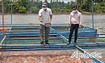 Người nuôi cá bè ở xã Thới Sơn: Chủ động ứng phó xâm nhập mặn