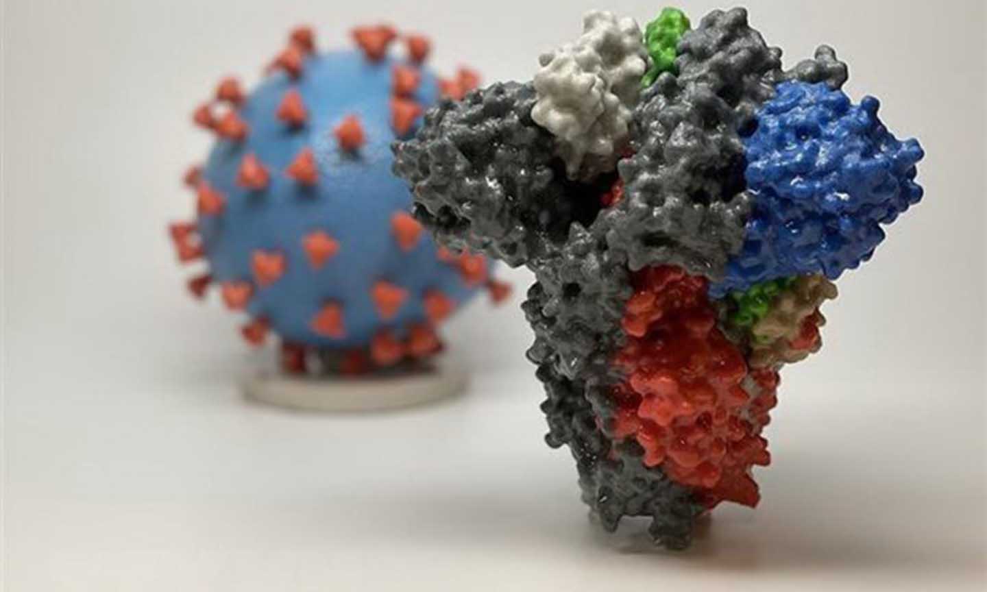 Hình ảnh 3D của virus SARS-CoV-2 (phía sau) và cấu trúc phân tử giúp SARS-CoV-2 xâm nhập tế bào con người (phía trước). (Nguồn: AFP/TTXVN)