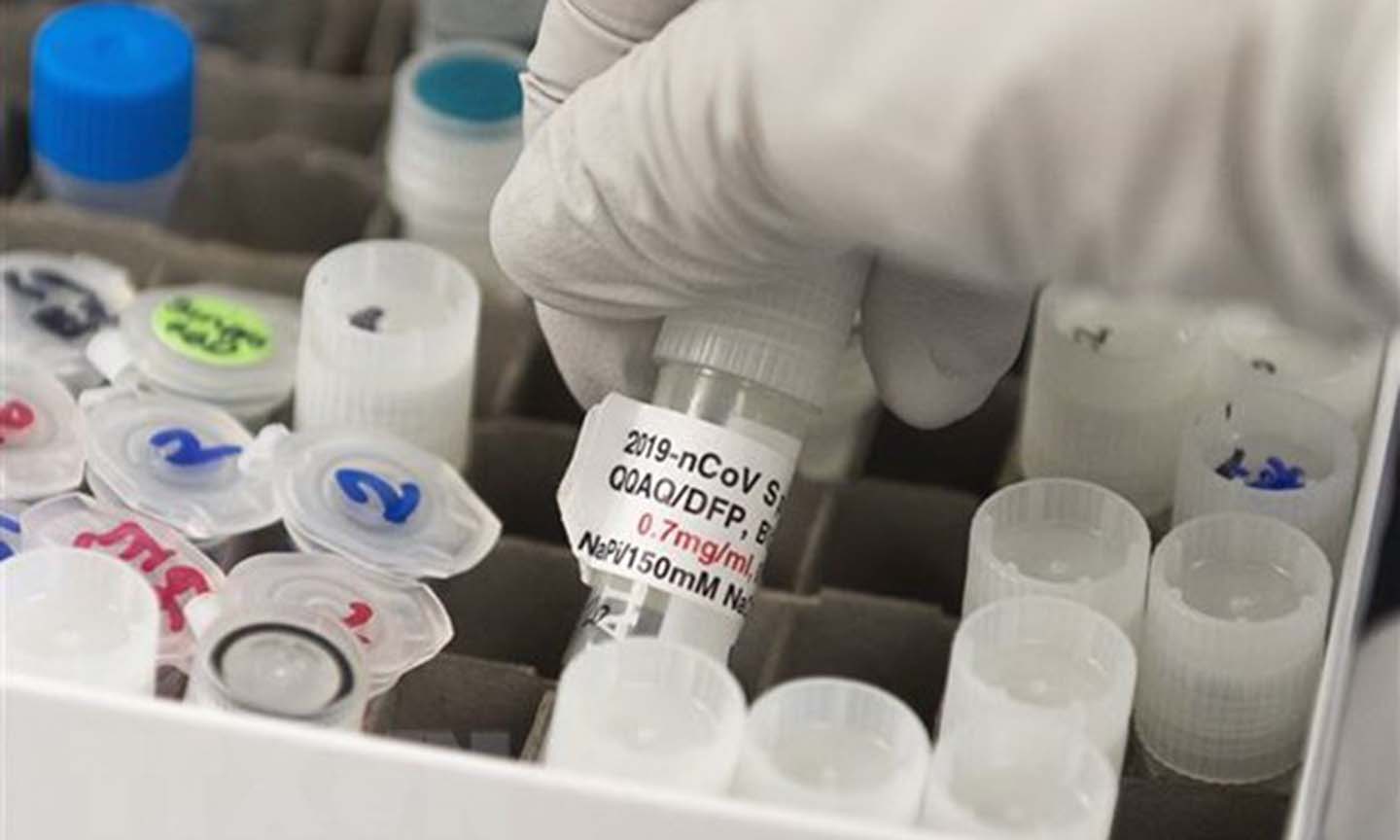Vắcxin ngừa COVID-19 được nghiên cứu tại phòng thí nghiệm ở Mỹ, ngày 20/3/2020. (Nguồn: AFP/TTXVN)