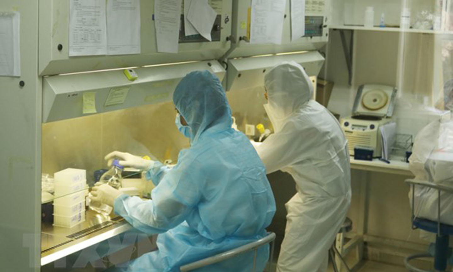 Nhân viên Viện Pasteur Thành phố Hồ Chí Minh xét nghiệm virus SARS-CoV-2. (Ảnh: Đinh Hằng/TTXVN)