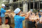 Vietnam to export more chicken products