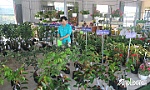 Khai trương Trung tâm Tư vấn, giới thiệu và cung ứng cây giống tốt