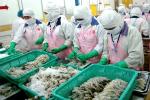 Shrimp exporters see bright future despite Covid-19