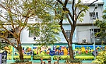 Bộ GD&ĐT yêu cầu khẩn trương kiểm tra cây xanh trong trường học