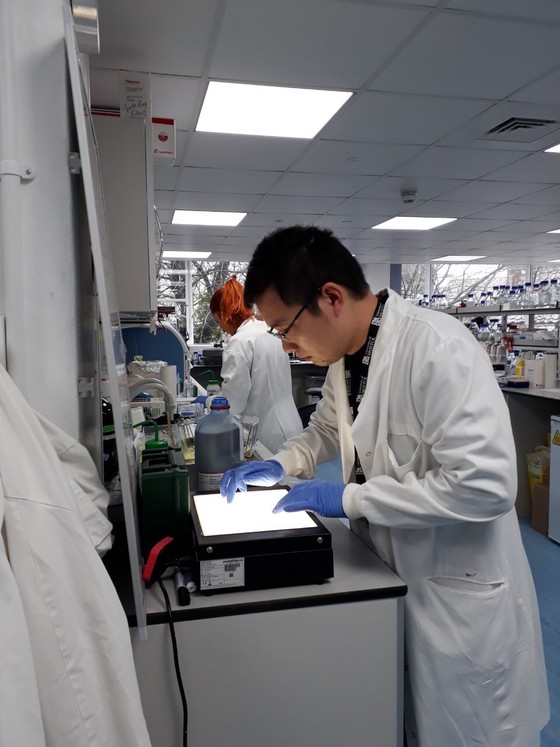ThS. Mạc Văn Trọng đang phân tích kết quả biểu hiện gen S của Covid-19 tại Phòng thí nghiệm Viện Sinh-Hóa, Trường Đại học Bristol (Anh)