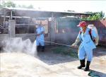VN Health Ministry calls for drastic measures to control dengue fever