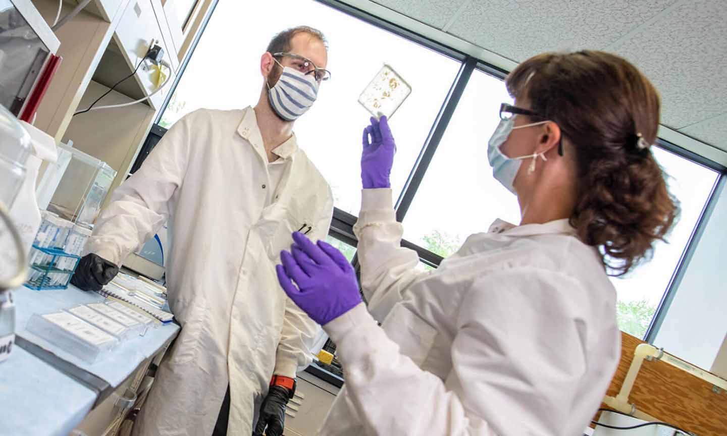 Nhóm nghiên cứu sinh học đã chế tạo màng để thu các giọt Covid-19 trong không khí. Ảnh: Đại học Maine.