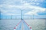 Electricity of Vietnam suggests not to extend deadline for wind farm FiT