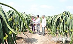 Huyện Tân Phước: Tập trung mọi nguồn lực giảm nghèo bền vững