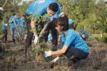 Vietnamese youth raise voices for a clean environment