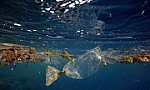 Lượng rác thải nhựa ở Đại Tây Dương cao hơn nhiều ước tính lâu nay
