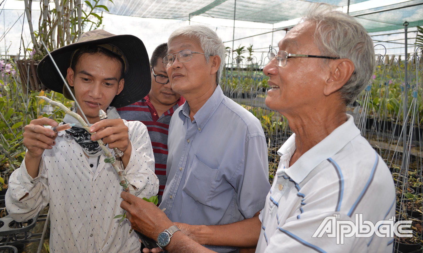 Chú Hoàng Minh Long (bìa phải) cùng thành viên Câu lạc bộ Hoa lan Sông Tiền tham quan  vườn lan tại huyện Chợ Gạo.