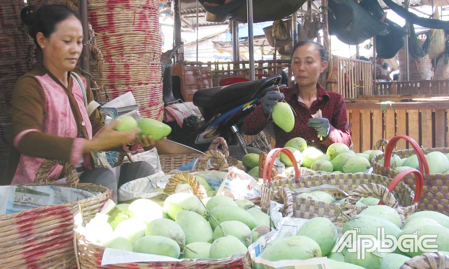 Cây ăn trái là một thế mạnh trong sản xuất nông nghiệp của huyện Cái Bè.