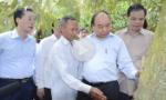 Thủ tướng Nguyễn Xuân Phúc: Cần chủ động ứng phó hạn, mặn mùa khô năm 2020 - 2021