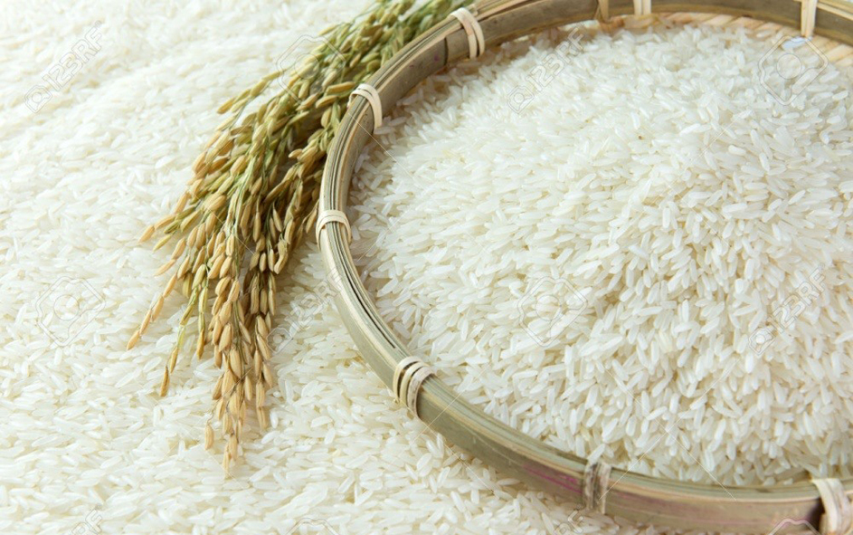 Xuất khẩu lô hàng gạo thơm sang EU theo EVFTA