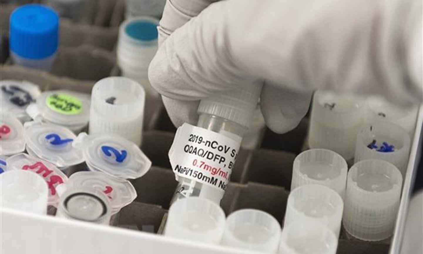 Nghiên cứu sản xuất vắcxin ngừa COVID-19 tại Gaithersburg, Maryland, Mỹ. (Nguồn: AFP/TTXVN)