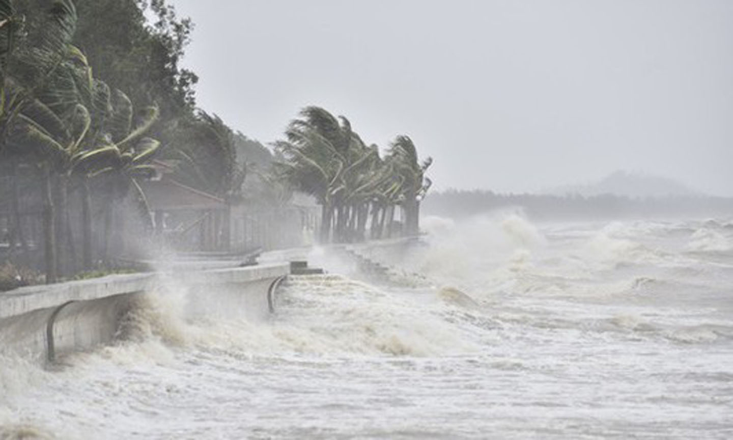 Dự báo ngày 18-9, bão sẽ ảnh hưởng trực tiếp đến khu vực ven biển các tỉnh từ Hà Tĩnh đến Quảng Ngãi, vùng tâm bão có khả năng đổ bộ vào đất liền các tỉnh từ Quảng Bình đến Đà Nẵng