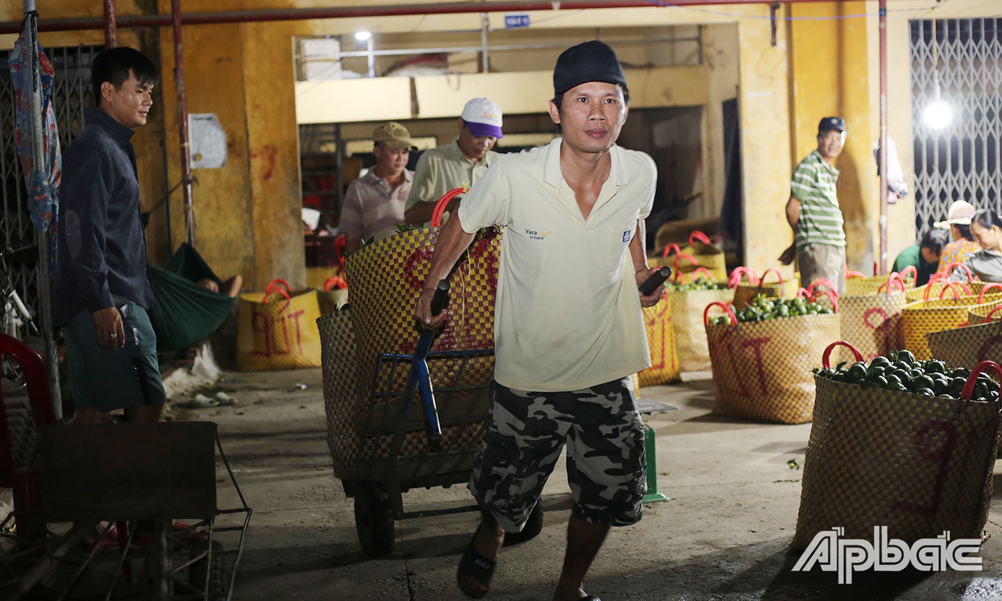 Nhiều người làm nghề bốc vác ở chợ trái cây Vĩnh Kim (xã Vĩnh Kim,  huyện Châu Thành) thường làm việc từ 21 giờ đến gần sáng mỗi ngày.