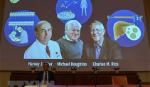 Nobel Y học 2020 vinh danh cuộc chiến chống bệnh viêm gan