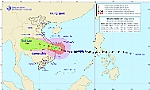 Sáng nay 28-10, bão số 9 đi vào đất liền từ Đà Nẵng đến Phú Yên với sức gió mạnh nhất cấp 13, giật cấp 16