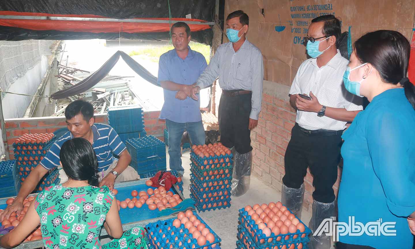 Đoàn tham quan dây chuyền lấy trứng tự động ở Trang trại gà Lê Văn Hưng.