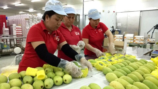 RCEP is expected to open up a potential market for tropical agricultural products and processed foods. (Illustrative image/Hai Anh).