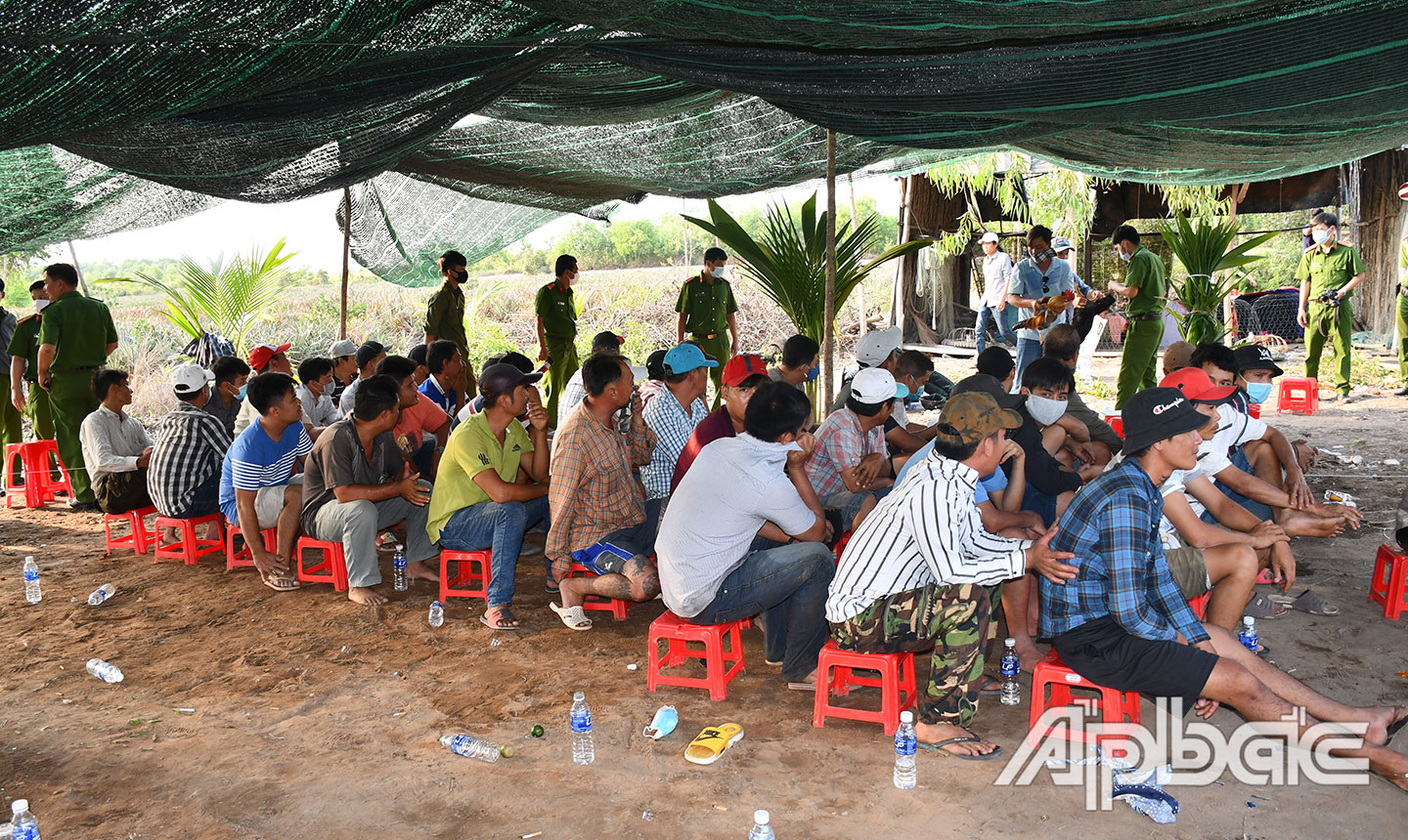 Lực lượng Công an phá tụ điểm đá gà ăn thua bằng tiền tại xã Thạnh Tân, huyện Tân Phước ngày 18-3-2020. Ảnh: LÊ HOÀI