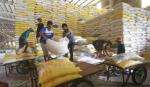 Xuất khẩu gạo của Việt Nam trong năm 2020 vượt 6,1 triệu tấn