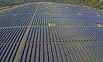 Lễ công bố hoàn thành nhà máy điện mặt trời Sao Mai - An Giang