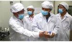 Việt Nam sắp sản xuất được vaccine phòng, chống dịch tả lợn châu Phi