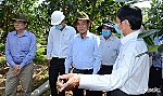Chủ tịch UBND tỉnh Nguyễn Văn Vĩnh kiểm tra công tác phòng, chống hạn, mặn