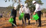 Nationwide response to tree planting festivals