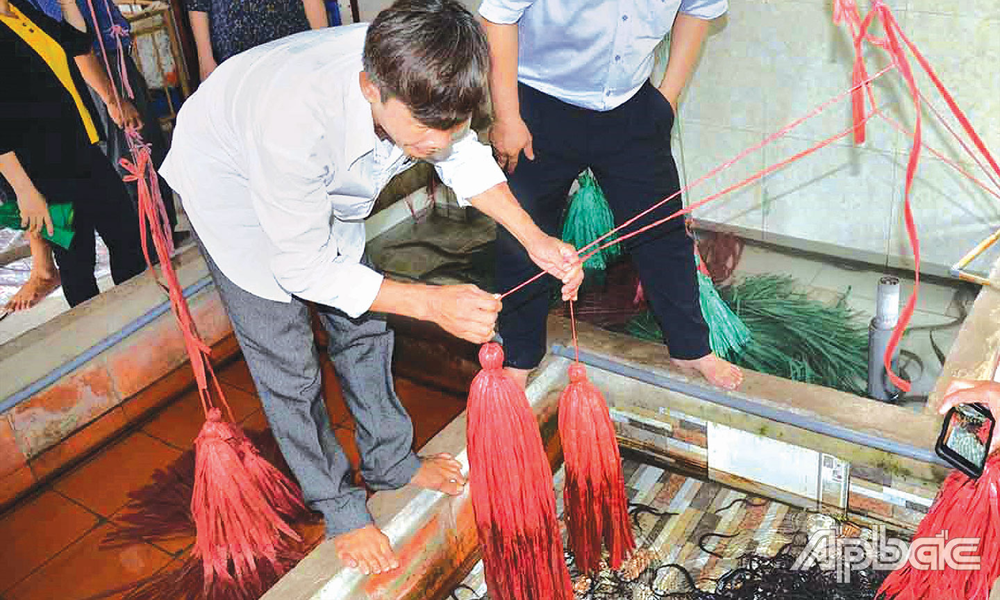 Lãnh đạo Sở Nông nghiệp và Phát triển nông thôn khảo sát mô hình nuôi lươn của ông Châu Văn Hồng (bìa trái).