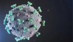 Đột biến virus Covid-19 lẩn trốn hệ miễn dịch, lây lan nhanh