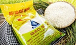 Tăng cường vị thế bền vững cho gạo Việt Nam