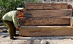 Tiền Giang: Tạm giữ gỗ không có hồ sơ lâm sản hợp pháp