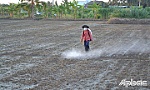 Nguồn nước thuận lợi, nông dân khẩn trương xuống giống lúa hè thu