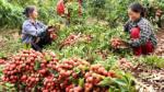 Vietnam stands ready to boost agricultural exports amid COVID-19