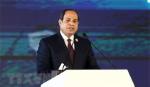 Ai Cập tích cực thúc đẩy các bên tôn trọng lệnh ngừng bắn