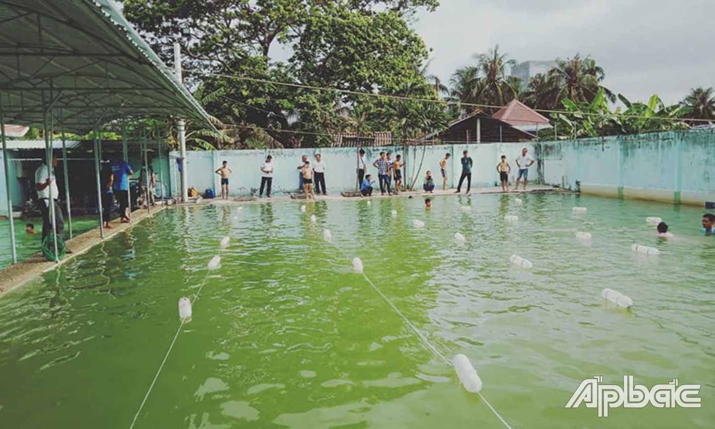 Các em học sinh Trường Tiểu học Huỳnh Văn Phèn (huyện Gò Công Tây) tham gia lớp phổ cập bơi tại hồ bơi của trường. 